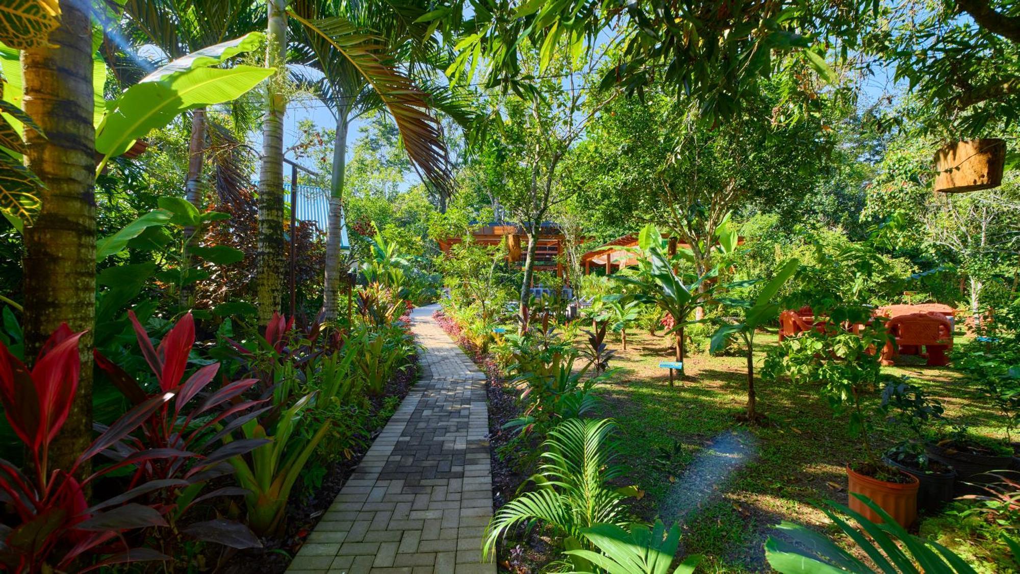 Casa Coki - Modern Villa Pool Steps From The Beach Puerto Viejo de Talamanca Εξωτερικό φωτογραφία